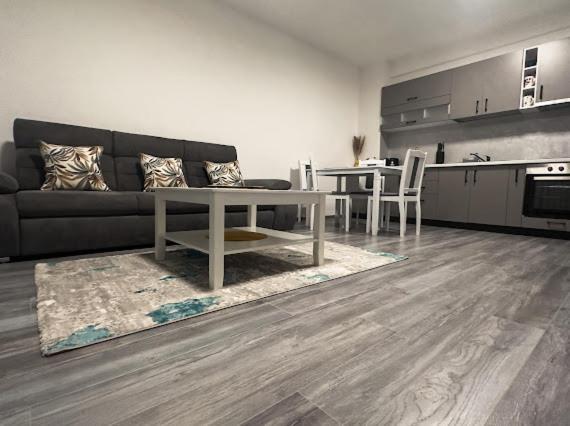 Apartament Ionut Băile Felix Zewnętrze zdjęcie
